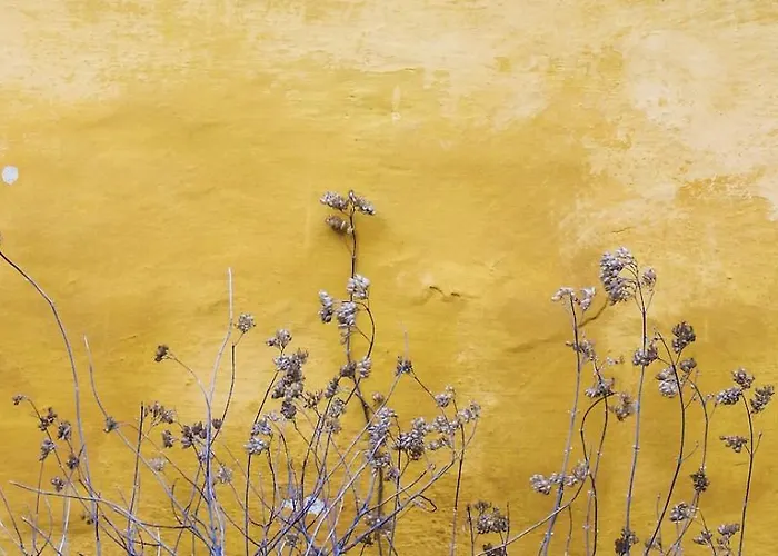Felip - Spacious And Quiet & One With Terrace *
